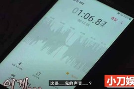 SBS韩国版走近科学纪录片《瞬间捕捉世界有奇事》第11季合40集中字 1080高清纪录片解说素材百度网盘下载