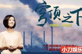 中国空气污染纪录片《柴静雾霾调查:穹顶之下》全1集 720P/1080i高清纪录片百度网盘下载