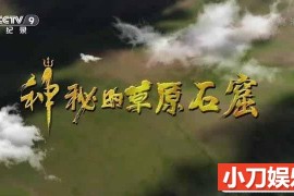 央视历史考古纪录片《神秘的草原石窟》全3集 TS/蓝光高清纪录片百度网盘下载