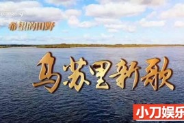 央视社会人文纪录片《希望的田野·乌苏里新歌》全4集 TS/蓝光高清纪录片百度网盘下载