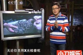 央视科学揭秘纪录片《走近科学》2010合集 标清纪录片百度网盘下载