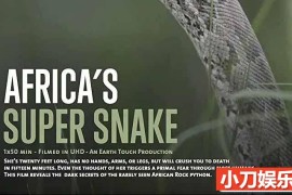 国家地理蛇类研究纪录片《纳塔尔蟒一族 Africa’s Super Snake》全1集中字 TS/蓝光高清纪录片百度网盘下载