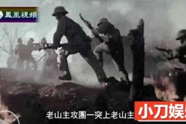 历史人文纪录片《凤凰大视野2012》全46部 标清纪录片百度网盘下载