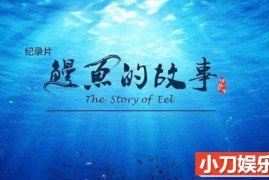 央视生物研究纪录片《鳗鱼的故事 The Story of Eel》全3集 TS/蓝光高清纪录片百度网盘下载