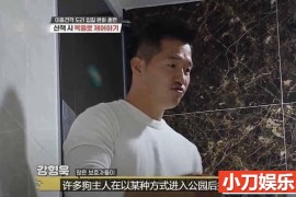 趣味动物行为纪录片《TV动物农场 短视频版》第6季中字 1080高清纪录片解说素材百度网盘下载