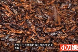 全球美食点评纪录片《阳光美食家》第4季中字 1080高清纪录片解说素材百度网盘下载