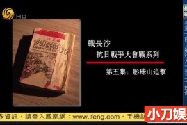 历史人文纪录片《凤凰大视野2014》全45部 标清纪录片百度网盘下载