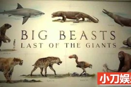 央视野生动物保护纪录片《终极巨兽档案 Big Beasts: Last of the Giants》全3集 TS/蓝光高清纪录片百度网盘下载