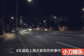 SBS韩国版走近科学纪录片《瞬间捕捉世界有奇事》第12季合30集中字 1080高清纪录片解说素材百度网盘下载