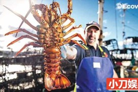 恶海捕龙虾纪录片《澳洲捕虾人 Aussie Lobster Men》第2季中字 1080高清自媒体解说素材百度网盘下载