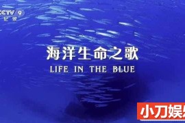 央视海洋生态研究纪录片《海洋生命之歌 Life in the Blue》全1集中字 TS/蓝光高清纪录片百度网盘下载