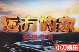 央视远方的家旅行美食纪录片《美食过大年》全5集 720P/1080i纪录片百度网盘下载