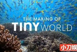 微观生物纪录片《小小世界 Tiny World》第2季中字 蓝光4K高清纪录片百度网盘下载