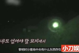 SBS韩国版走近科学纪录片《瞬间捕捉世界有奇事》第4季合153集中字 720P/1080i高清纪录片百度网盘下载