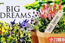 BBC园艺改造纪录片《小花园大梦想 Big Dreams Small Spaces》第1季中字 720P/1080i高清纪录片百度网盘下载