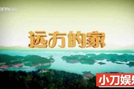 央视远方的家旅行纪录片《大好河山》第1部96集 720P/1080i纪录片百度网盘下载