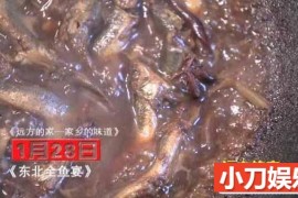 央视远方的家旅行纪录片《家乡的味道》全12集 720P/1080i纪录片百度网盘下载