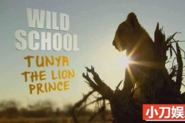 BBC南美自然生态纪录片《野蛮学校 Wild School》全6集中字 TS/蓝光高清纪录片百度网盘下载