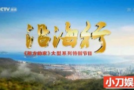 CCTV央视旅行纪录片《沿海行》全112集 720P/1080i高清纪录片百度网盘下载