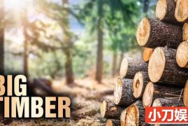 Netflix砍伐技能纪录片《终极伐木达人 Big Timber 2020》第1季全10集 英语多国中字 官方纯净收藏版 1080P/MP4/21.6G 伐木达人百度网盘下载