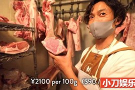 低欲望社会日本真实生活系列纪录片《肉铺老板日常的一天》全1集中字 1080P自媒体解说素材百度网盘下载