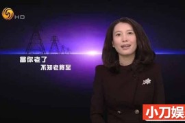 历史人文纪录片《凤凰大视野2020》合集 720P/1080i高清纪录片百度网盘下载