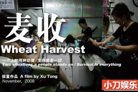 徐童游民三部曲纪录片《麦收 Wheat Harvest》全1集 标清纪录片百度网盘下载