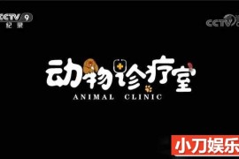 央视宠物医疗纪录片《动物诊疗室 Animal Clinic》全5集 TS/蓝光高清纪录片百度网盘下载