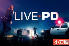 警察抓捕真人秀《直击追捕现场 Live PD》第2季原版无字 标清/720P自媒体解说素材百度网盘下载