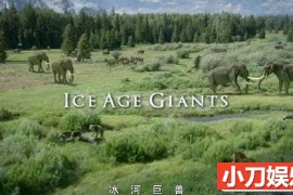 BBC史前生物纪录片《冰河巨兽 Ice Age Giants》全3集 TS/蓝光高清纪录片百度网盘下载