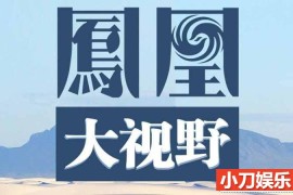 历史人文纪录片《凤凰大视野2004》全42部 标清纪录片百度网盘下载