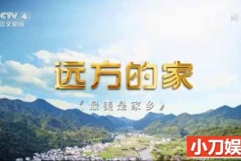 央视旅行地理纪录片《远方的家 最美是家乡》第1-55集 720P/1080i高清纪录片百度网盘下载