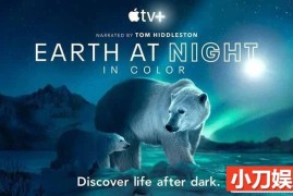 野生动物纪录片《夜色中的地球 Earth at Night in Color》第2季中字 2K/1080i高清纪录片百度网盘下载