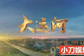 CCTV人文旅行纪录片《远方的家 大运河》全90集 720P/1080i高清纪录片百度网盘下载