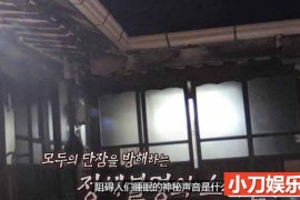 SBS韩国版走近科学纪录片《瞬间捕捉世界有奇事》第10季合26集中字 1080高清纪录片解说素材百度网盘下载