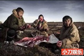 历史人文纪录片《消失的极地猎人：因纽特人 Netsilik Eskimo》合集中字 标清自媒体解说素材百度网盘下载