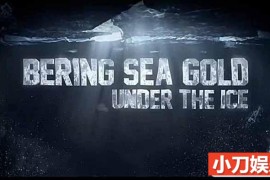 探索频道淘金热纪录片《白令海大吸金 Bering Sea Gold: Under the Ice》第7-9季中字 1080P高清自媒体解说素材百度网盘下载