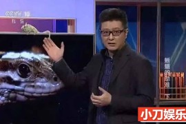 央视科学揭秘纪录片《走近科学》2008合集 标清纪录片百度网盘下载