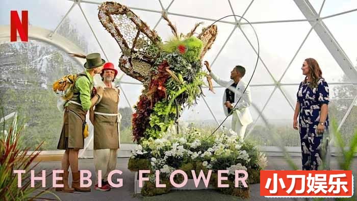 Netflix花艺对决真人秀《鲜花大战 The Big Flower Fight》第1季中字 1080P高清自媒体解说素材插图