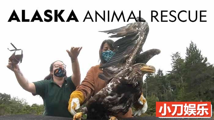 国家地理动物保护纪录片《阿拉斯加野生动物救援 Alaska Animal Rescue》第2季原版无字 720P高清自媒体解说素材插图