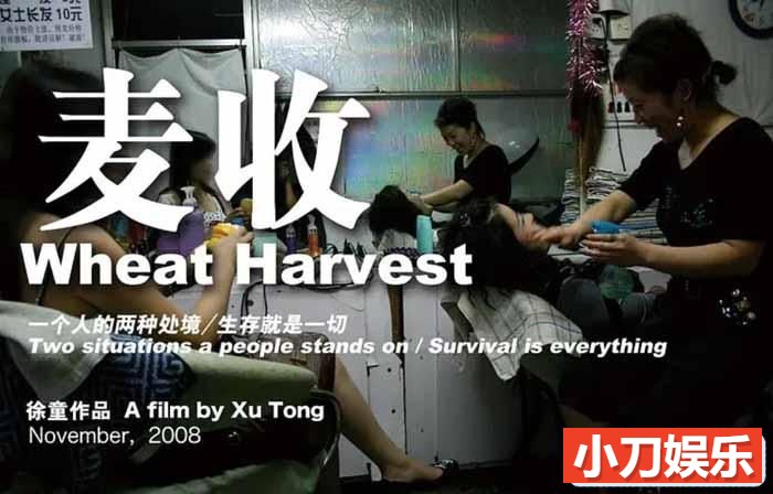 徐童游民三部曲纪录片《麦收 Wheat Harvest》全1集 标清纪录片插图