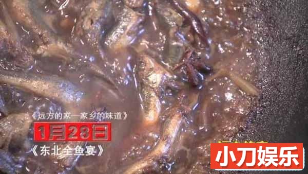 央视远方的家旅行纪录片《家乡的味道》全12集 720P/1080i纪录片插图