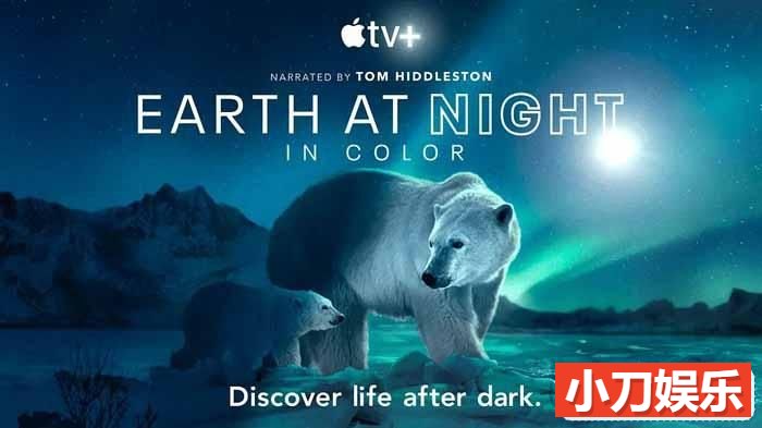 野生动物纪录片《夜色中的地球 Earth at Night in Color》第2季中字 2K/1080i高清纪录片插图