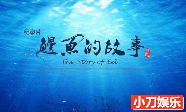 央视生物研究纪录片《鳗鱼的故事 The Story of Eel》全3集 TS/蓝光高清纪录片插图