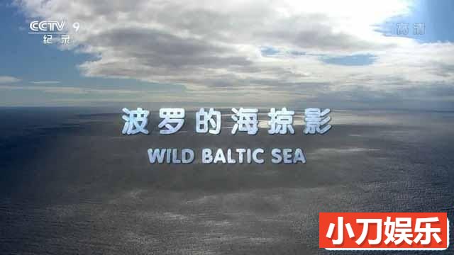 自然生态纪录片《波罗的海掠影 Wild Baltic Sea》全3集中字 TS/蓝光高清纪录片插图