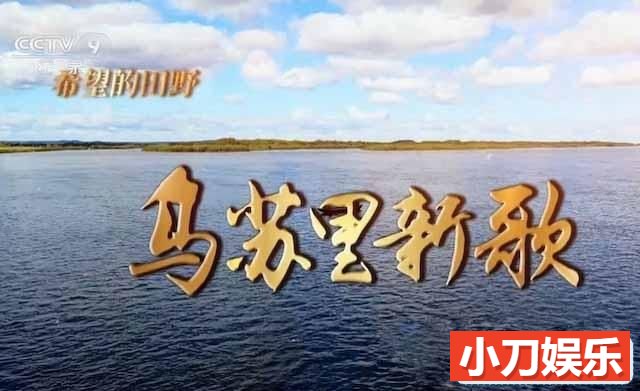 央视社会人文纪录片《希望的田野·乌苏里新歌》全4集 TS/蓝光高清纪录片插图