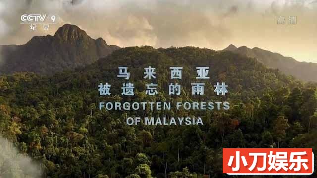 央视自然生态纪录片《马来西亚被遗忘的雨林 Forgotten Forests of Malaysia》全1集 TS/蓝光高清纪录片插图